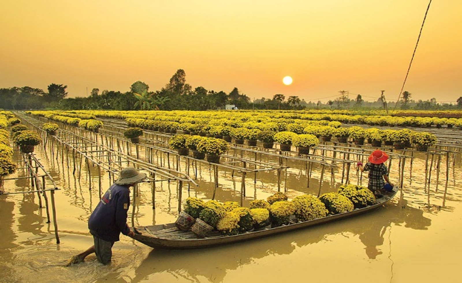 Bảng giá đất tại Đồng Tháp - Vùng đất đầu tư bât động sản đầy hứa hẹn
