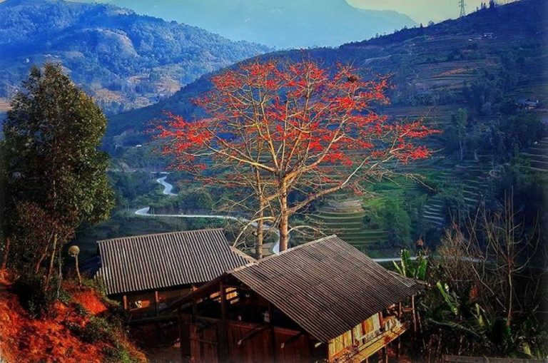 Bảng giá đất về thị trường Hà Giang 2026 mới nhất