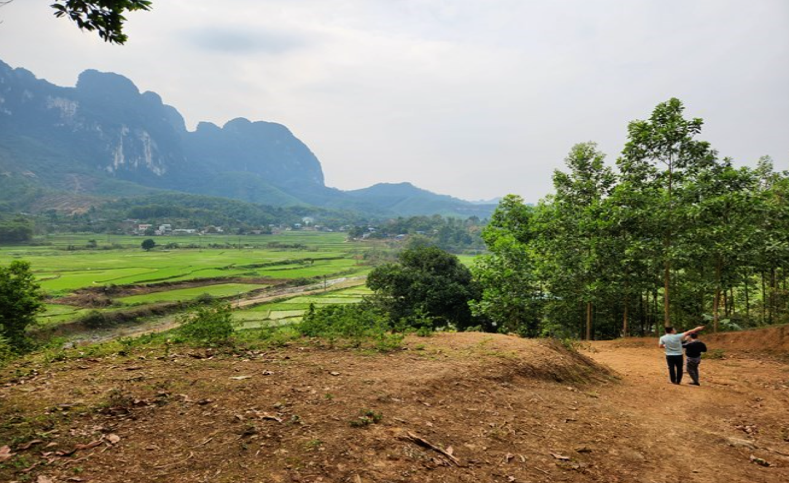 Bộ Nông nghiệp và Môi trường làm rõ thẩm quyền cho thuê đất của cấp xã