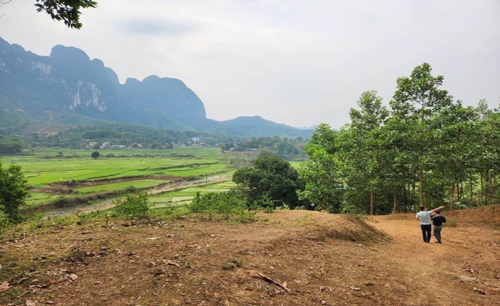 Bộ Nông nghiệp và Môi trường trả lời về thắc mắc chuyển mục đích sử dụng đất