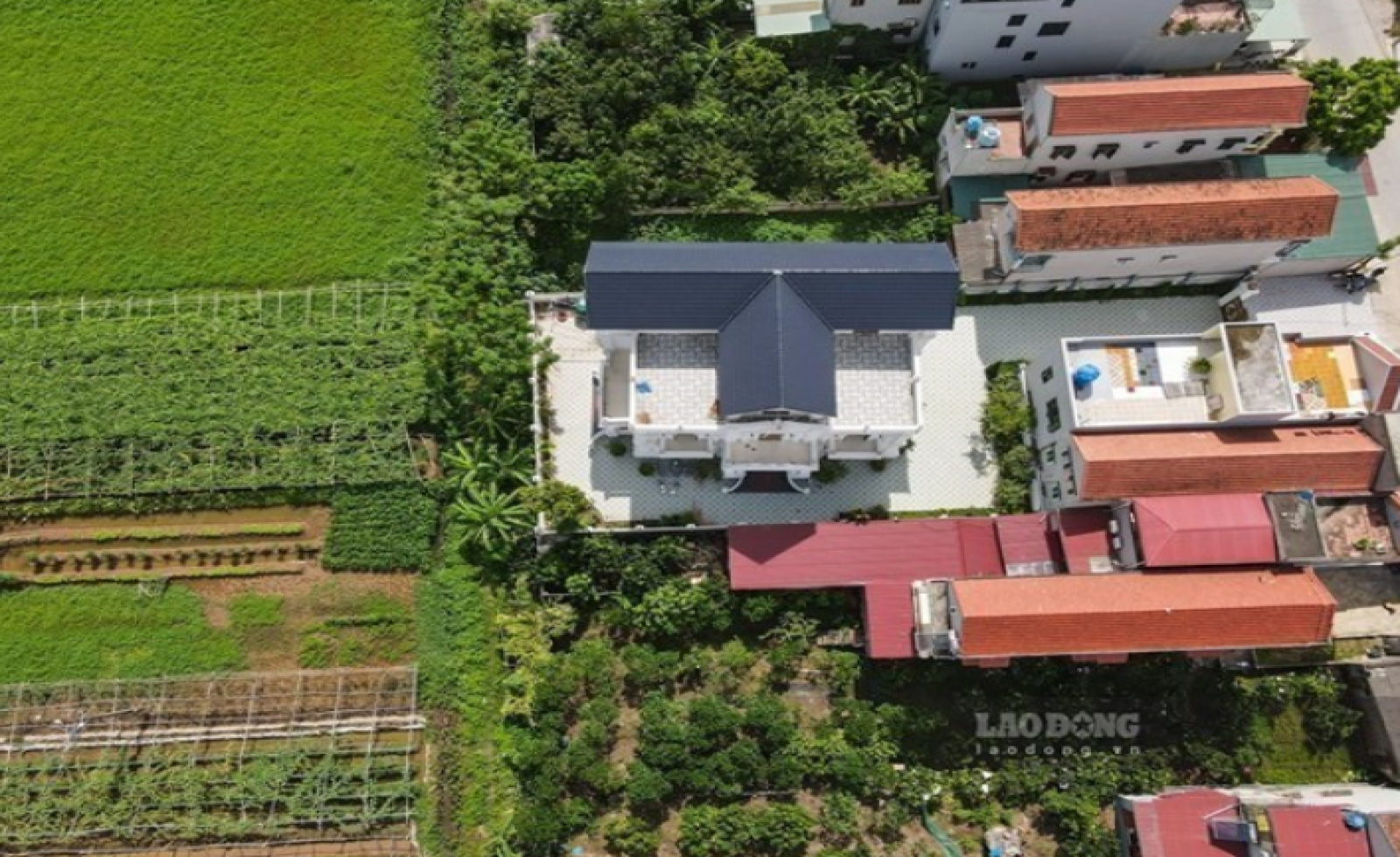 Cấp sổ đỏ cho đất sử dụng trước năm 1980 không giấy tờ