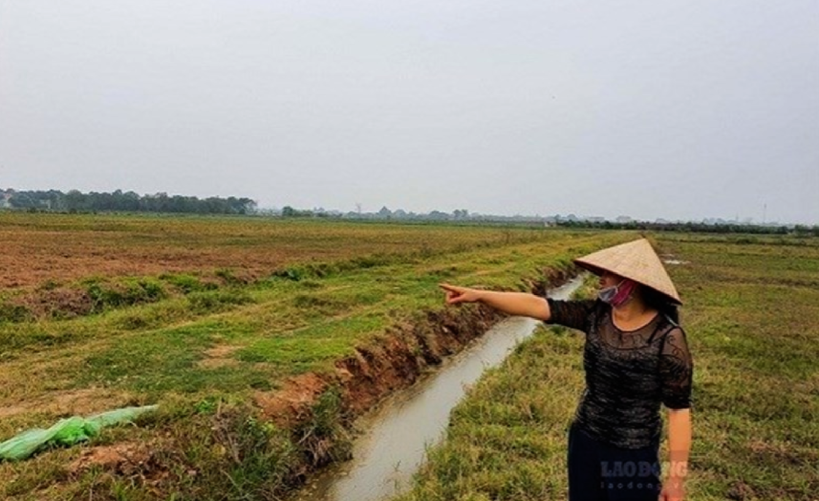 Chậm trả tiền sử dụng đất quá 5 năm, xử lý ra sao