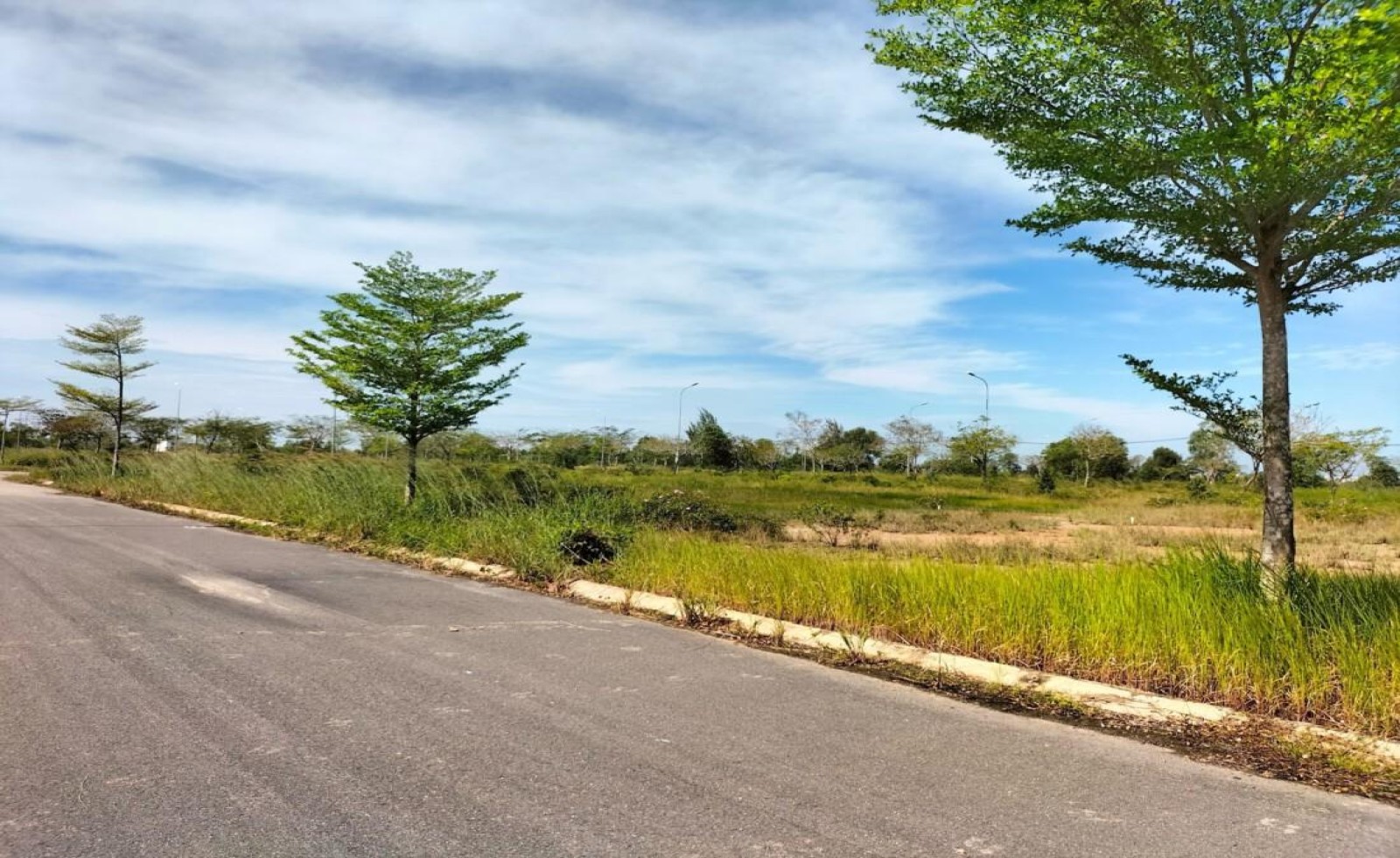 Đất Nền Long An Cuối Năm Vẫn Trầm Lắng