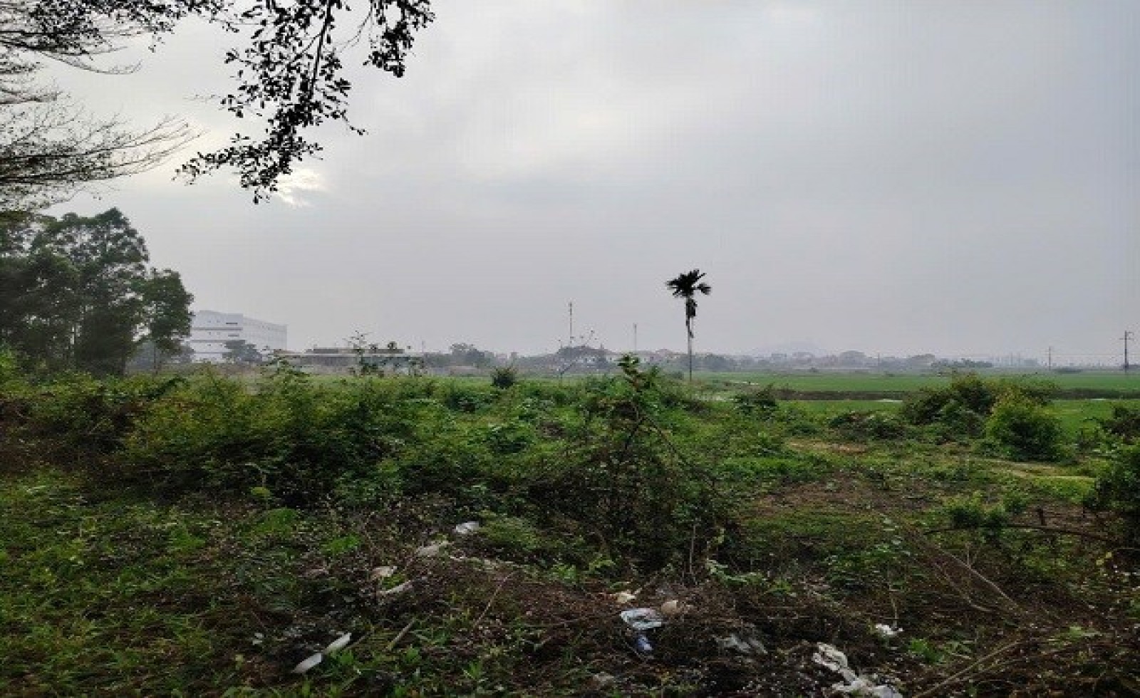 Đất nông nghiệp chuyển sang đất ở khi đã có sổ đỏ từ 1993