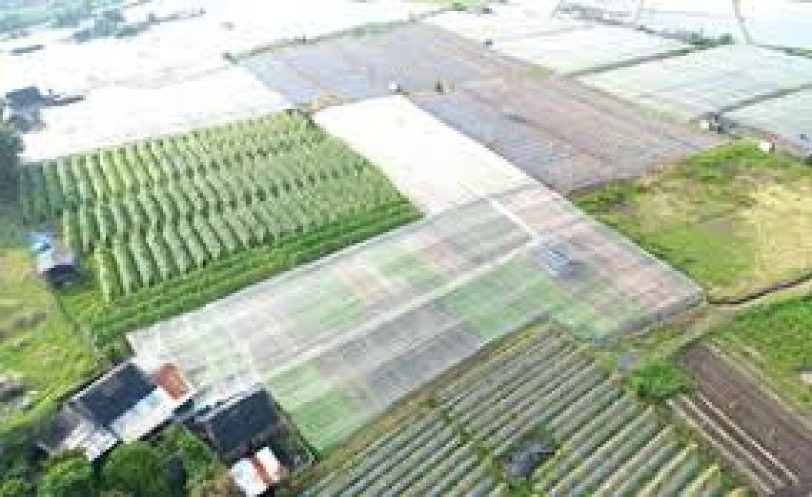 Đất nông nghiệp đã xây nhà có được chuyển sang đất ở?