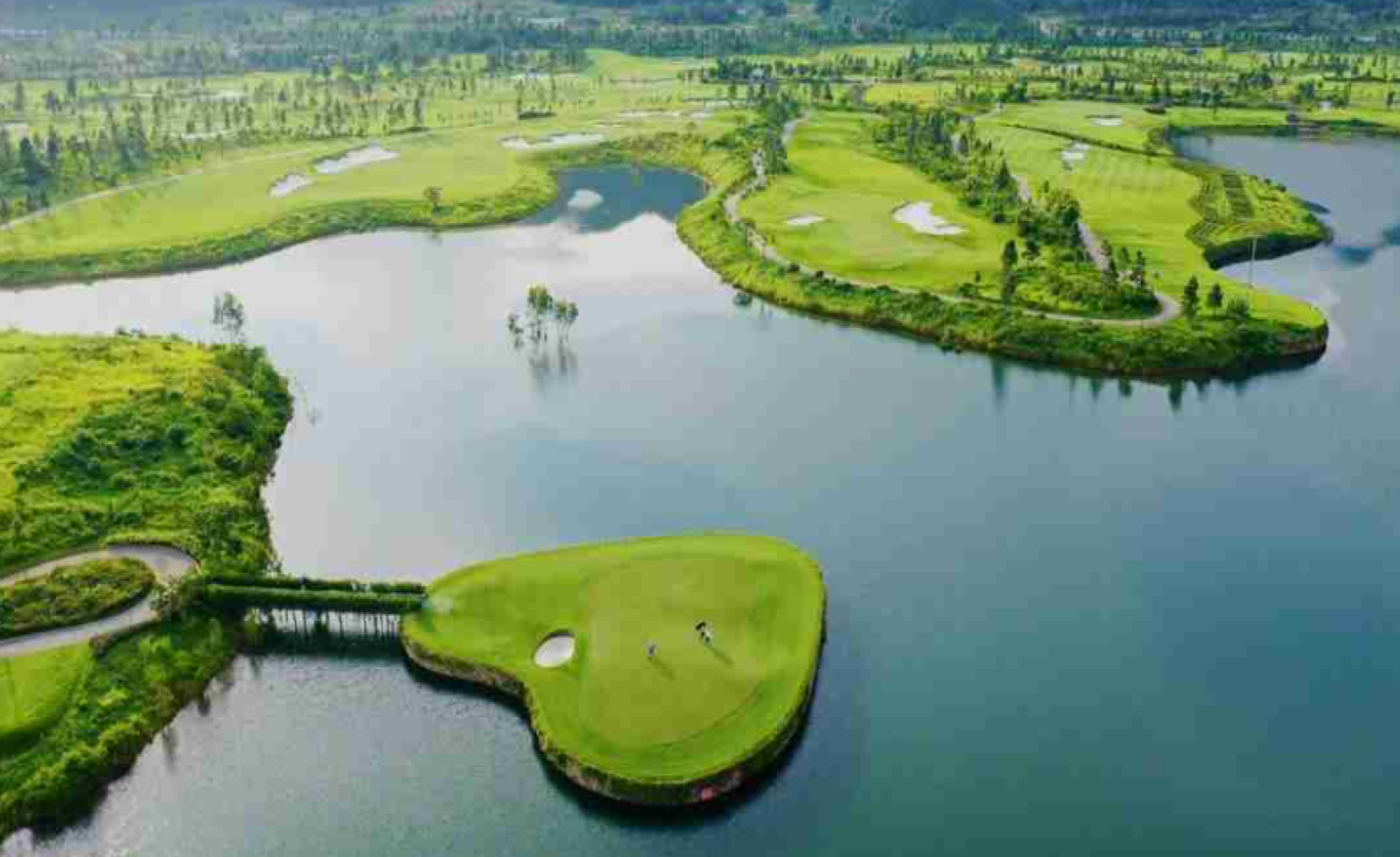 Đề xuất chuyển mục đích sử dụng hơn 200ha rừng để làm sân golf – resort tại Nghệ An