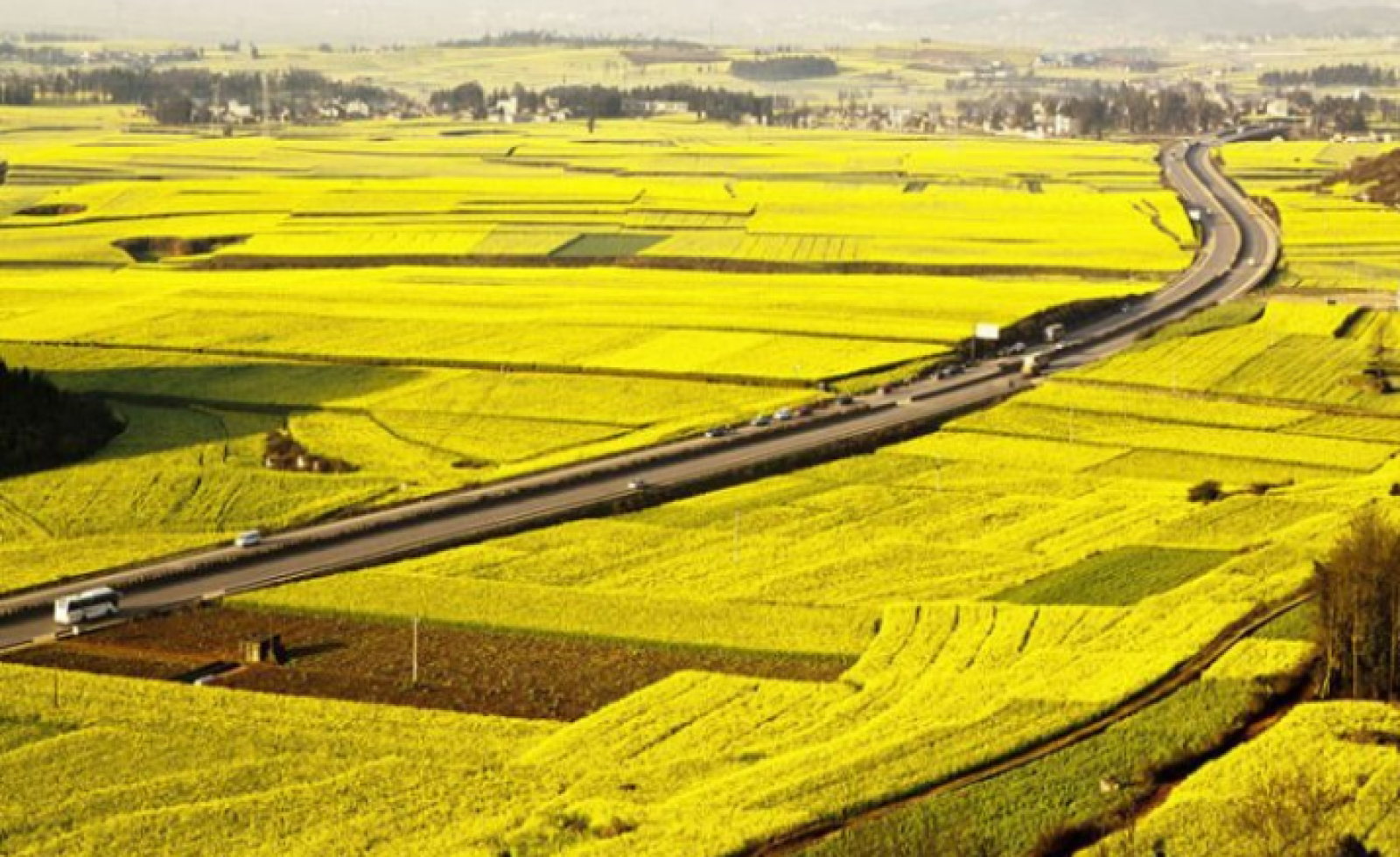 Không có sổ đỏ vẫn được làm thủ tục sang tên nhà đất, chia thừa kế?