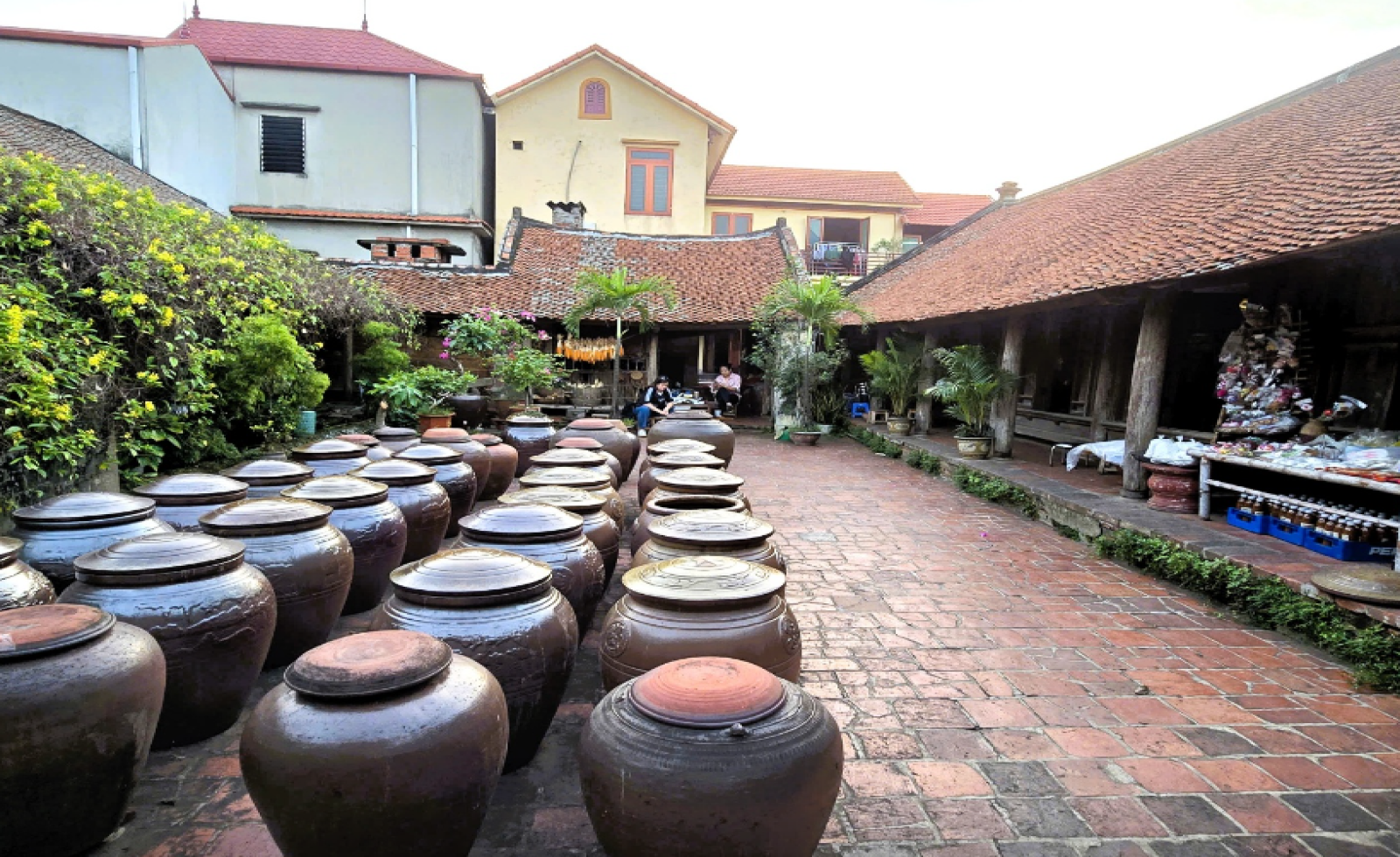 Kiến trúc giữ vai trò trung tâm trong phát triển văn hóa Việt Nam