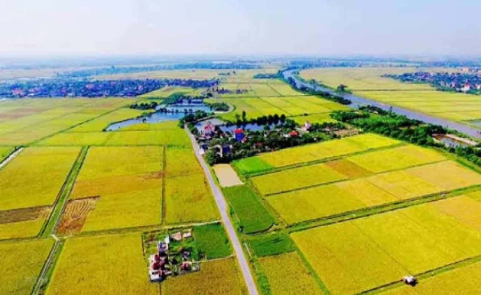 Làm sao để được xây nhà trên đất nông nghiệp?