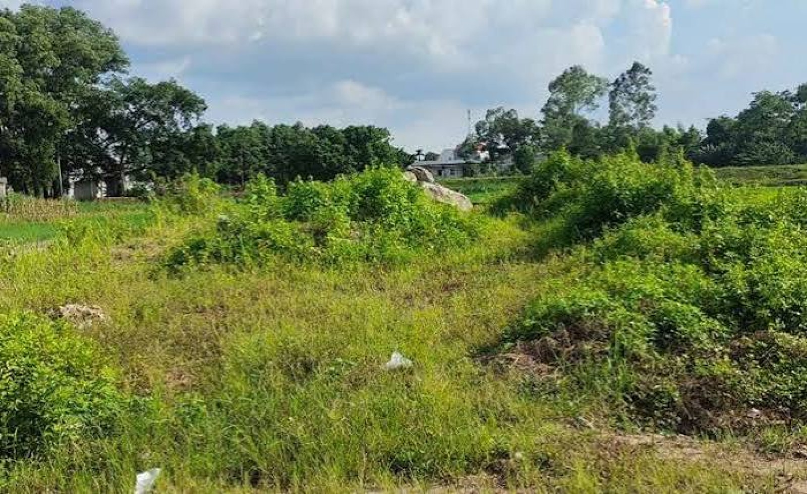 Mua đất ghi trên sổ 2.732m2, sang tên mới phát hiện thiếu gần 900m2