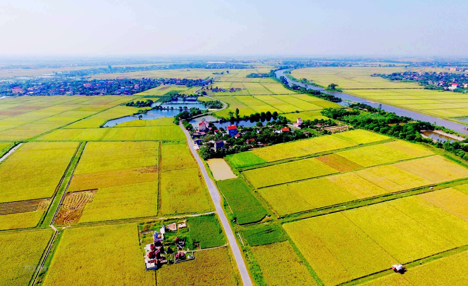Mức phạt khi tự ý chuyển đất trồng lúa sang loại đất khác trong nhóm đất nông nghiệp tại Hà Nội bao nhiêu?