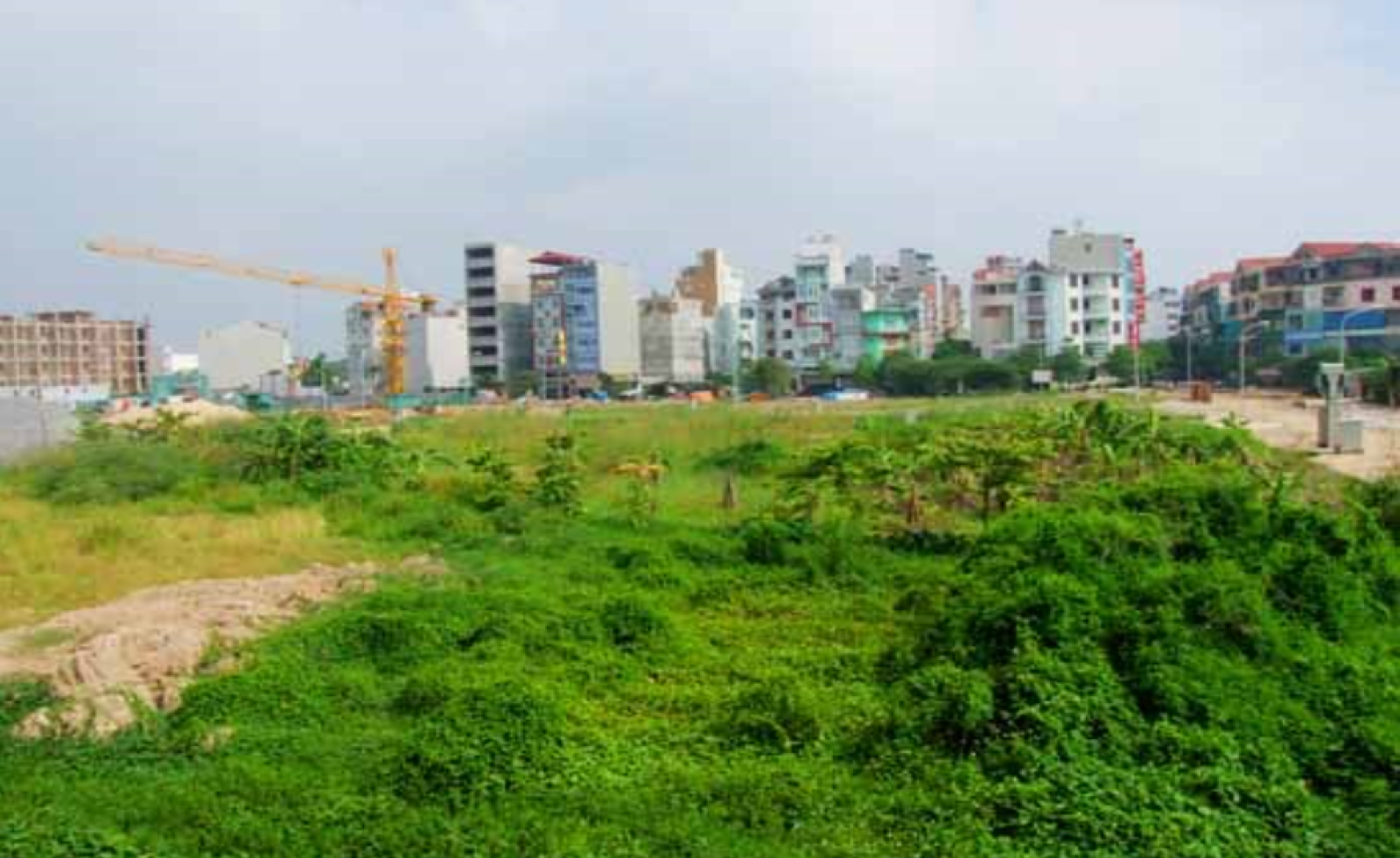 Người dân được mua bán đất nông nghiệp với diện tích tối đa bao nhiêu?