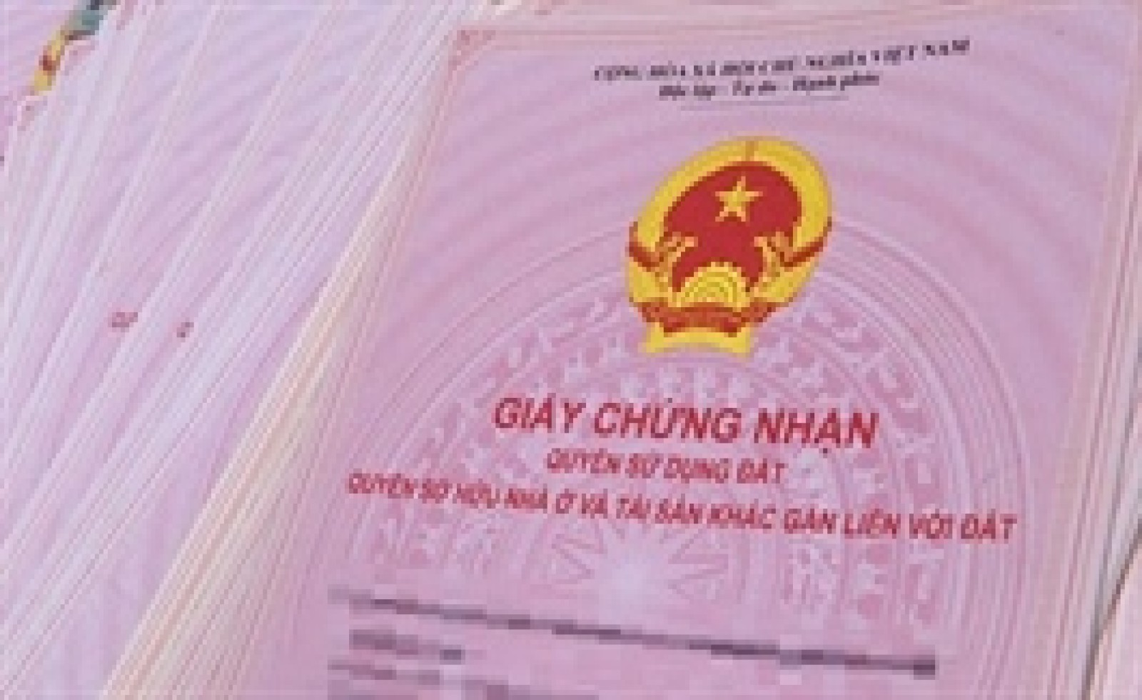 Nhiều dự án được cấp sổ hồng trước Tết