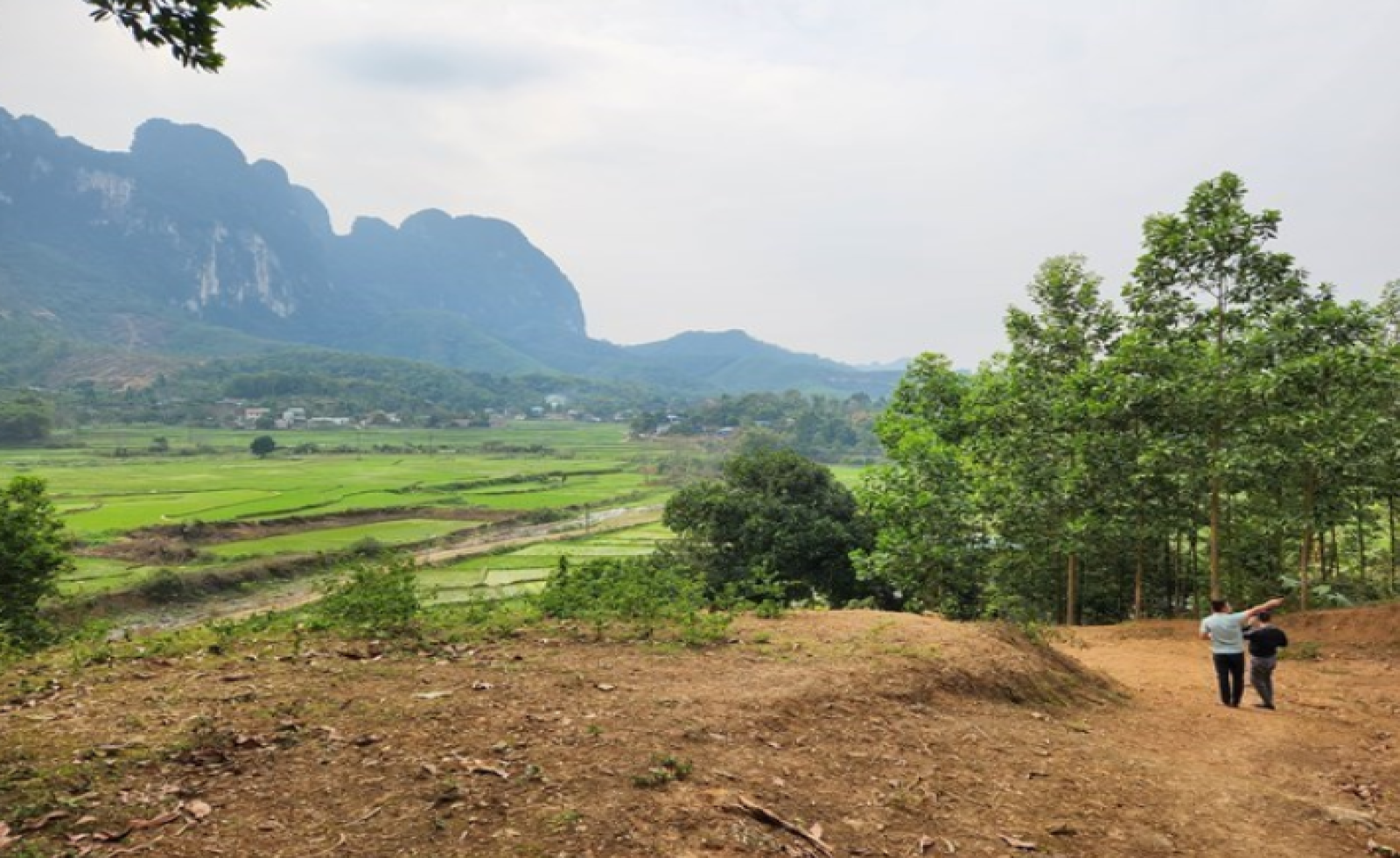 Nhiều thủ tục đất đai cấp tỉnh, cấp xã bị bãi bỏ