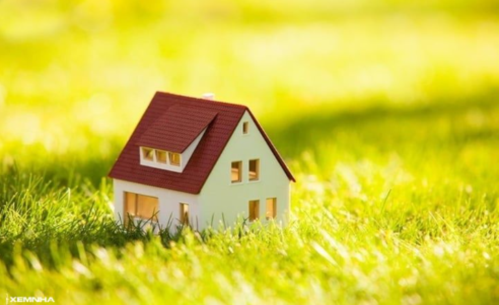 Những rủi ro tiềm ẩn khi mua đất không chính chủ