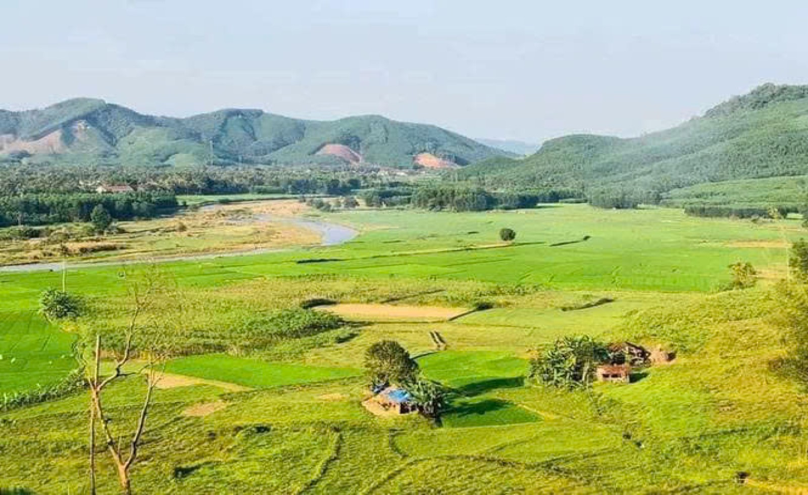 Phân biệt đất khai hoang và đất lấn chiếm thế nào?