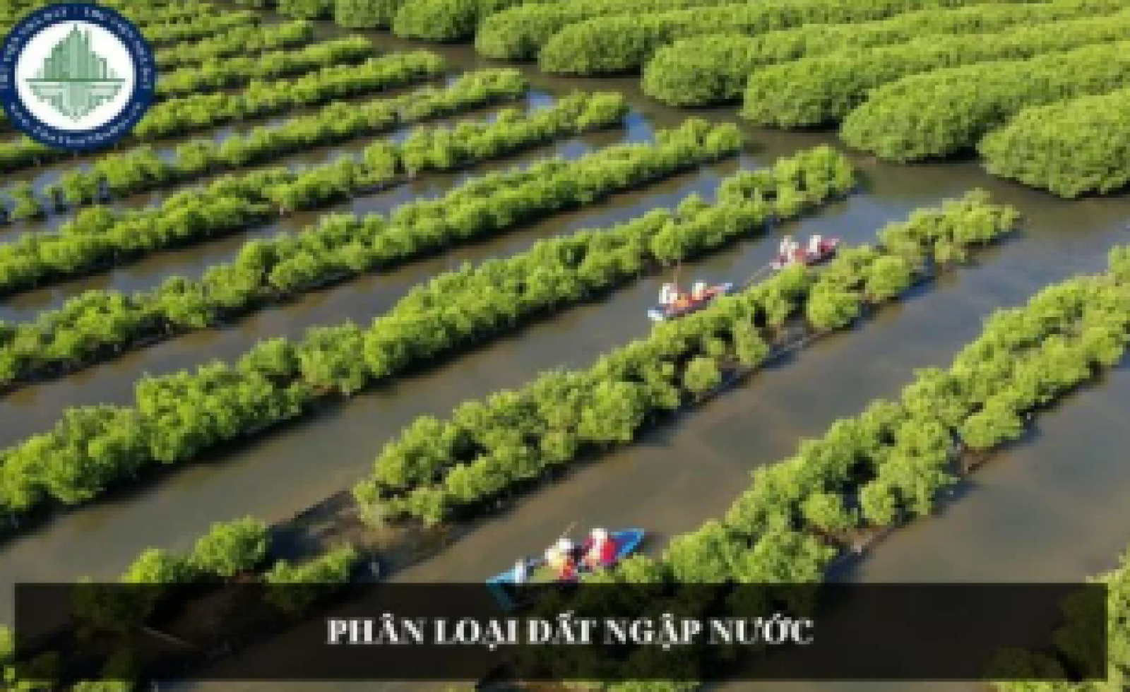 Phân loại đất ngập nước là việc xác định gì?