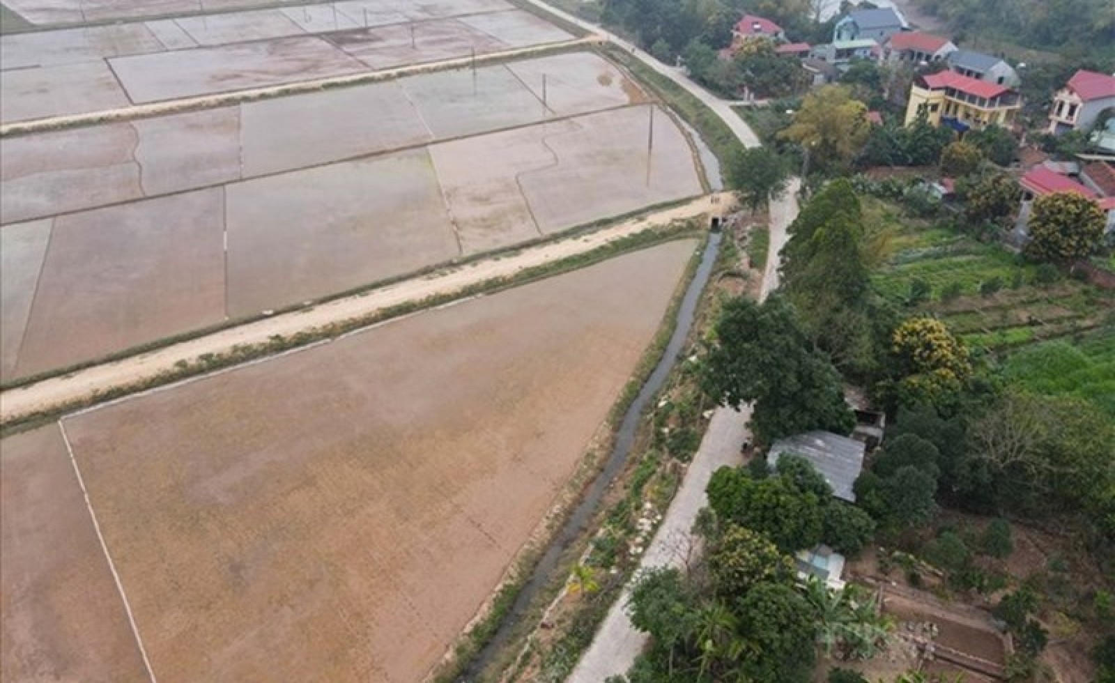 Quy định xử lý khi diện tích đất nông nghiệp vượt hạn mức