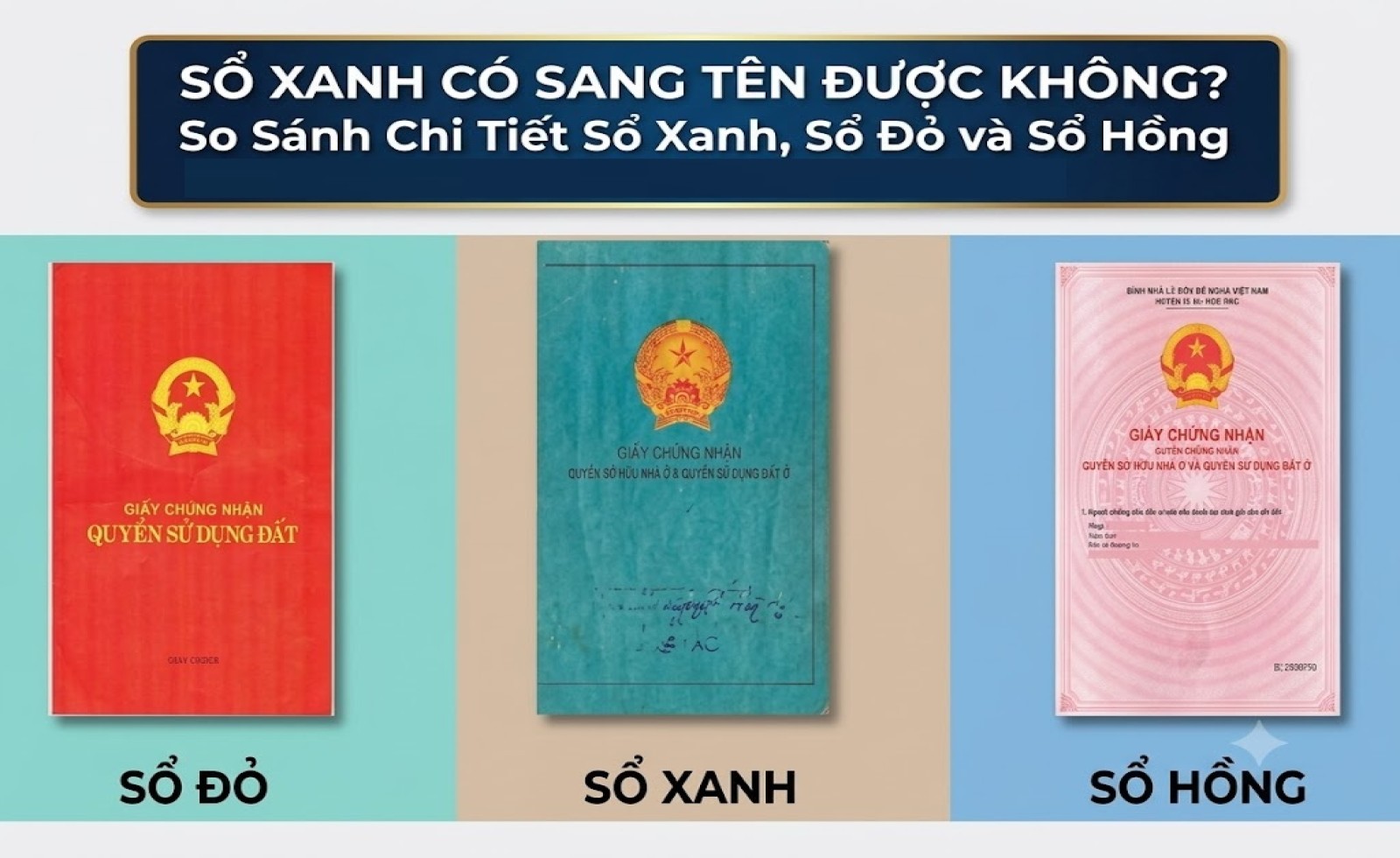 Sổ Xanh Có Sang Tên Được Không? So Sánh Chi Tiết Sổ Xanh, Sổ Đỏ Và Sổ Hồng