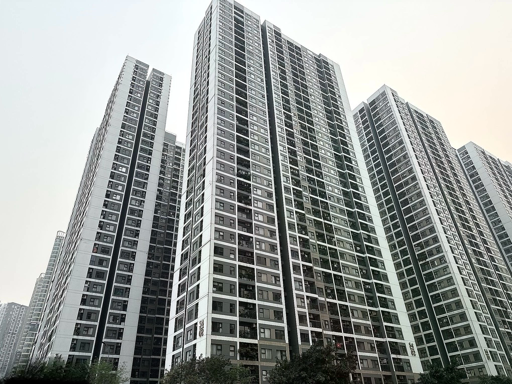 Sóng thoát hàng chung cư sắp bàn giao