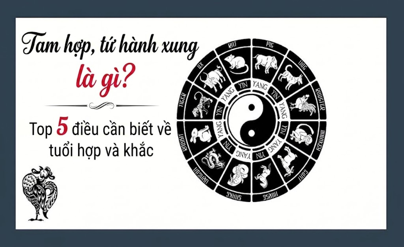 Tam hợp, tứ hành xung là gì? Top 5 điều cần biết về tuổi hợp và khắc