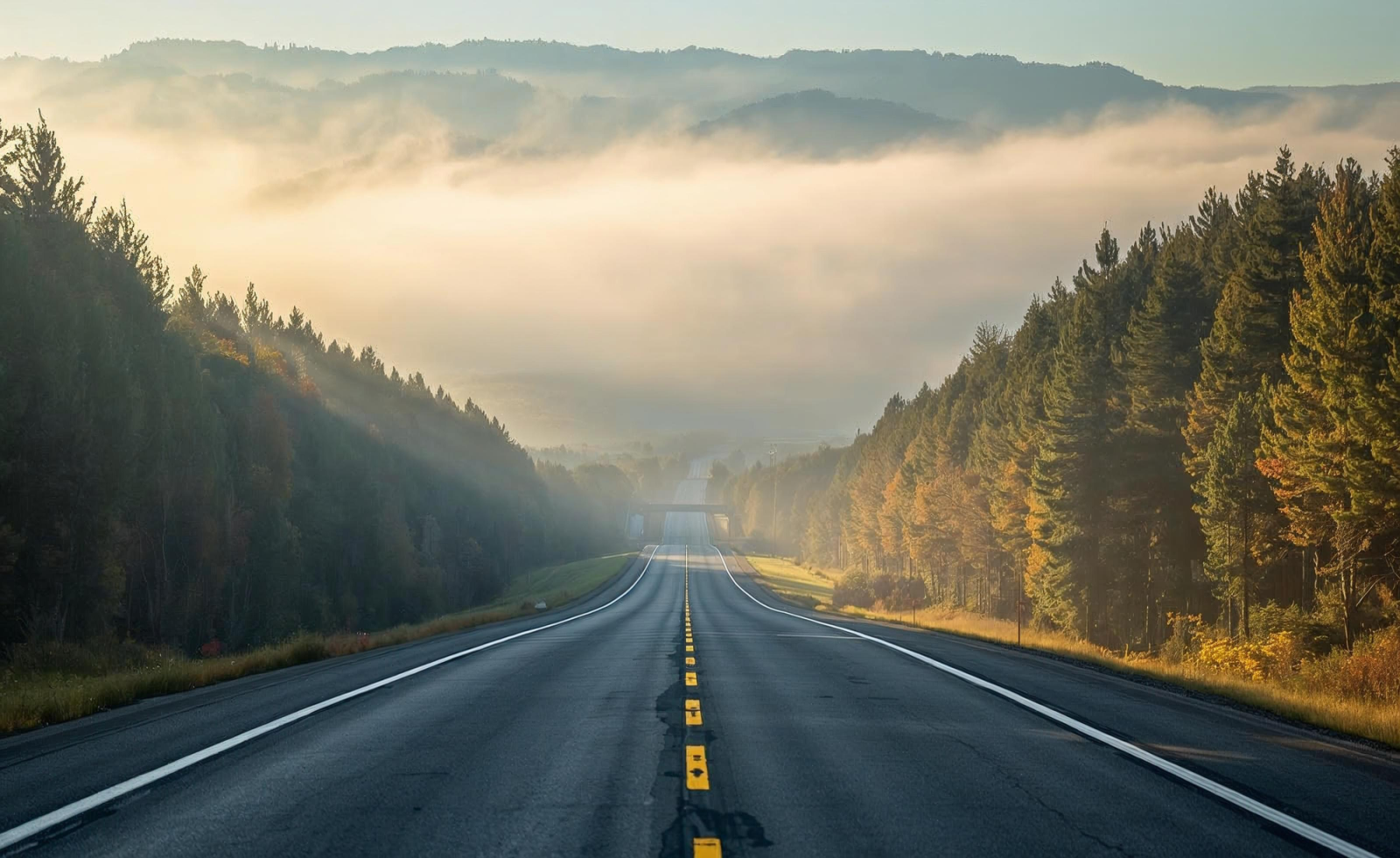 Tập đoàn Sơn Hải gặp khó tại dự án cao tốc “xuyên rừng đẹp nhất” Việt Nam, Lâm Đồng ra chỉ đạo “nóng”