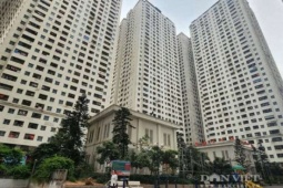 Thị trường căn hộ thứ cấp tại các dự án của "đại gia điếu cày" Lê Thanh Thản lao dốc không phanh