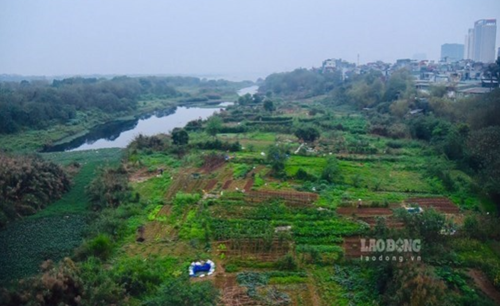 Thu hồi đất bãi bồi trồng ngô, công dân có được bồi thường?