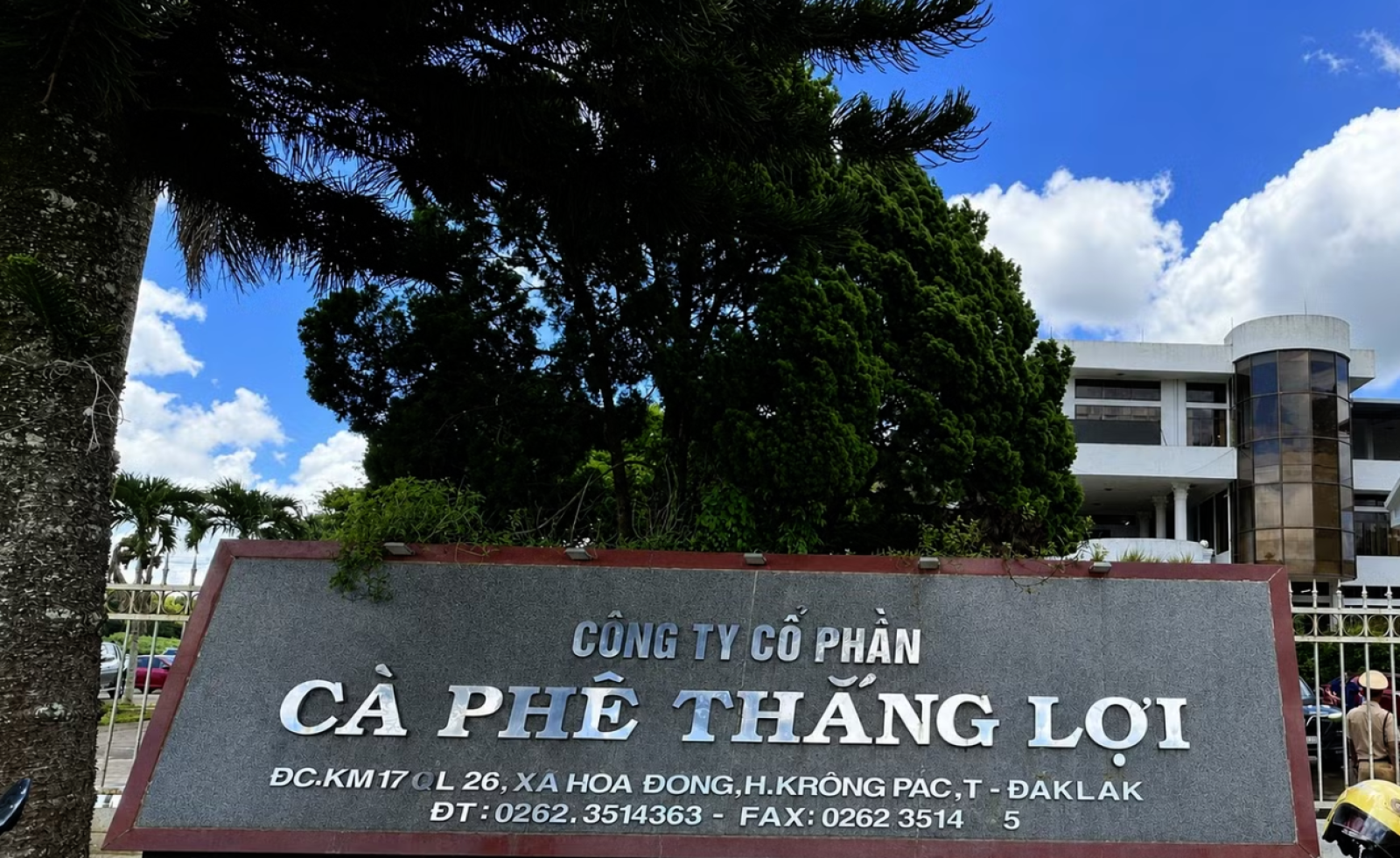 Thu hồi hơn 525ha đất liên kết trồng cà phê ở Đắk Lắk