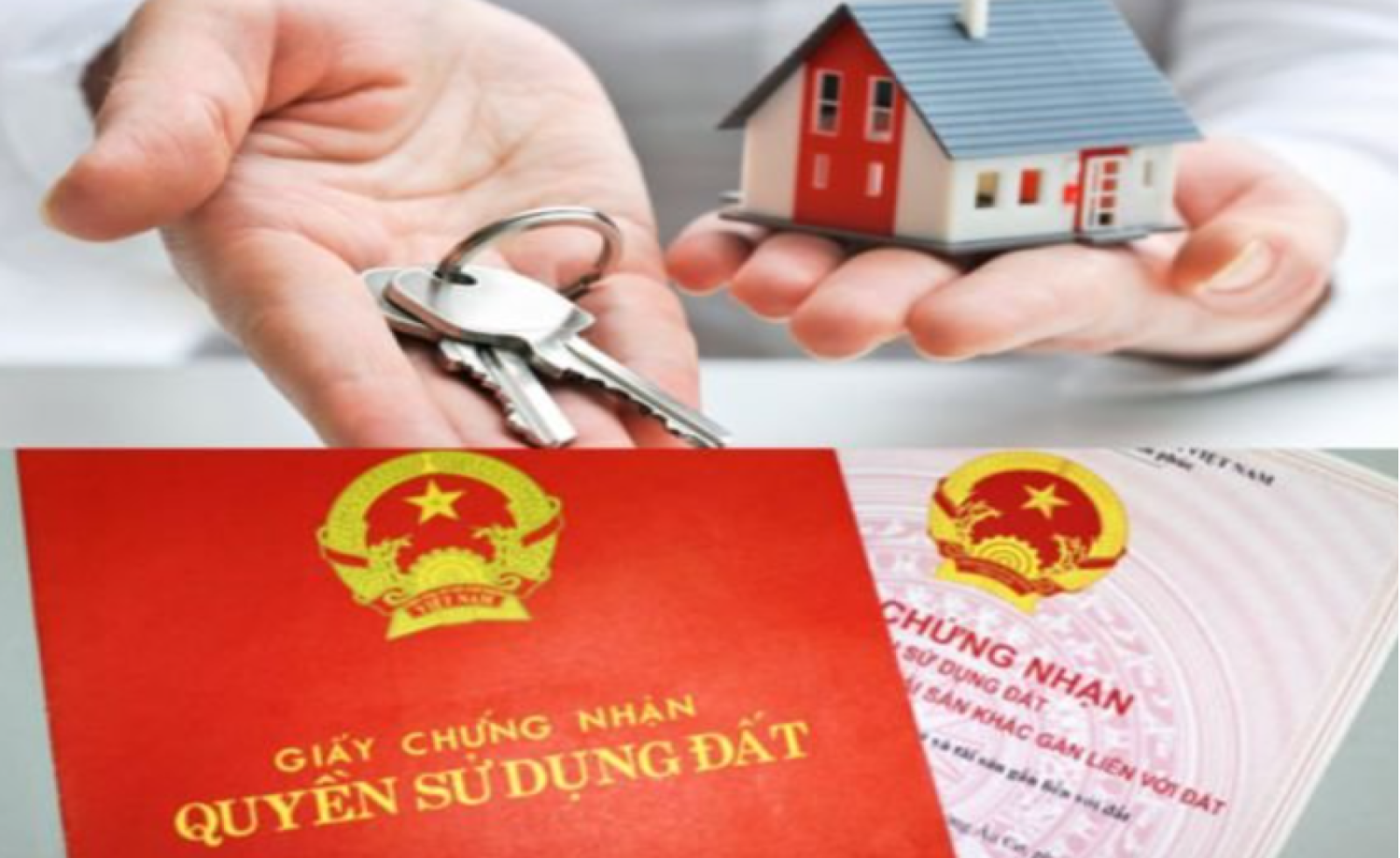 Thủ Tục Cấp Sổ Đỏ Online Mới Nhất 2023