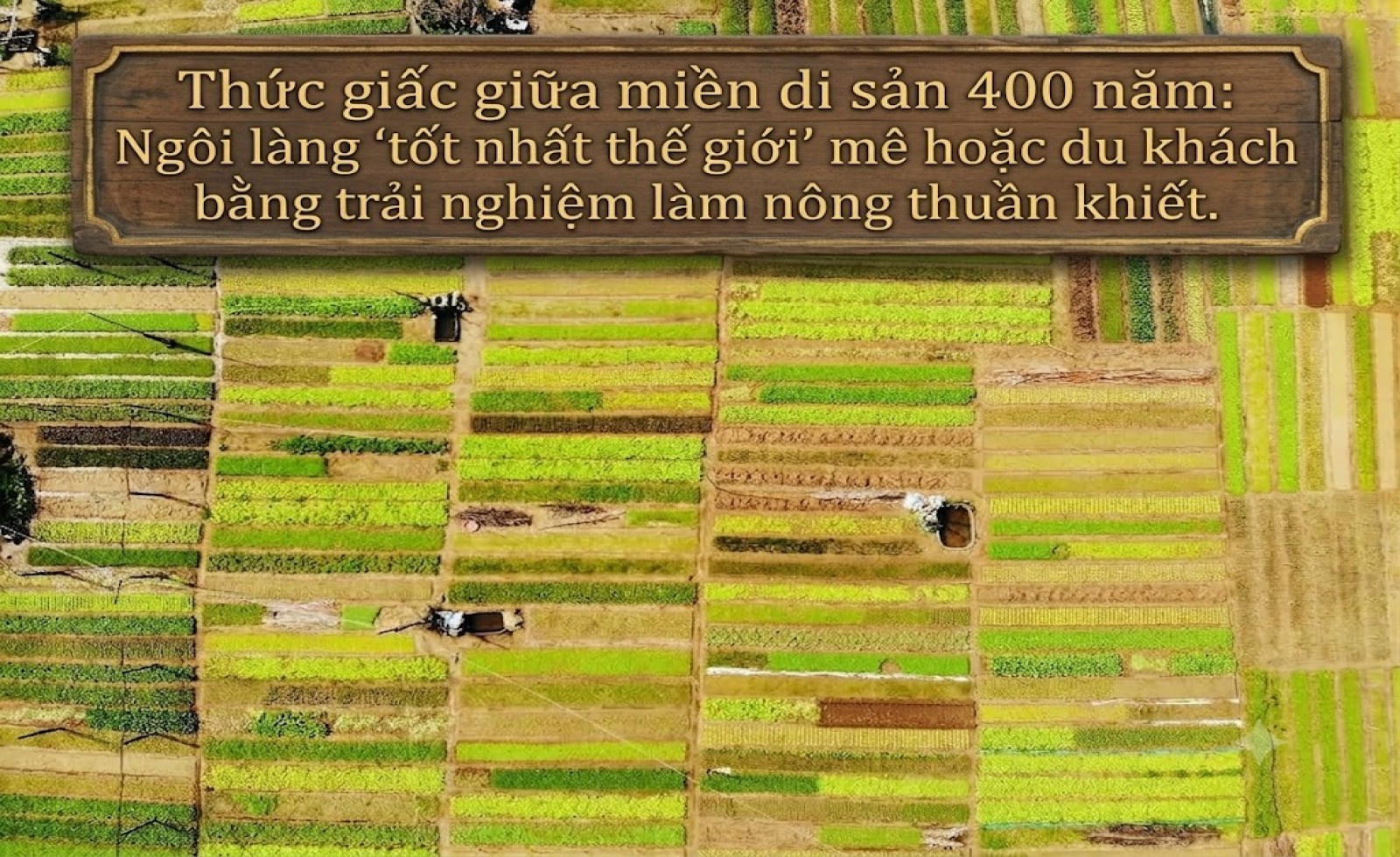 Thức giấc giữa miền di sản 400 năm: Ngôi làng 'tốt nhất thế giới' mê hoặc du khách bằng trải nghiệm làm nông thuần khiết.