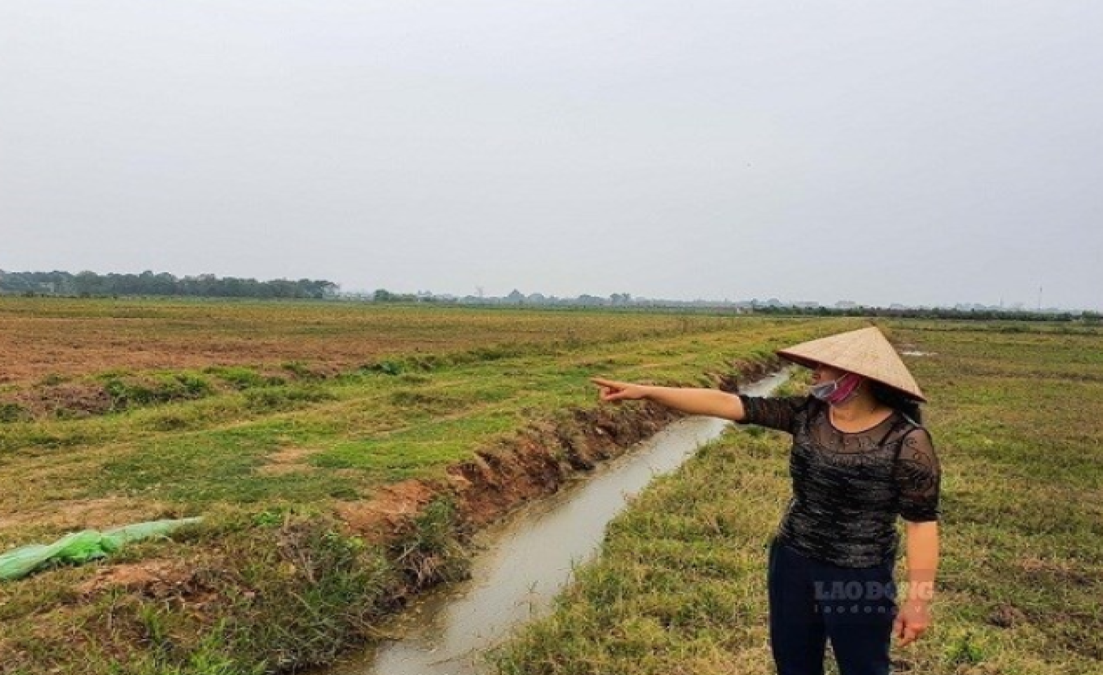Tính tiền sử dụng đất khi chuyển đất nông nghiệp sang đất ở theo quy định mới