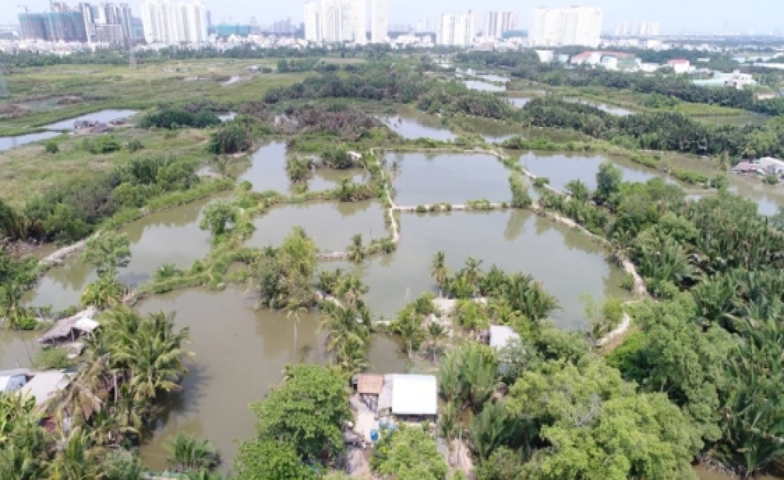 TP HCM loại 33 khu đất khỏi danh mục thí điểm nhà ở thương mại