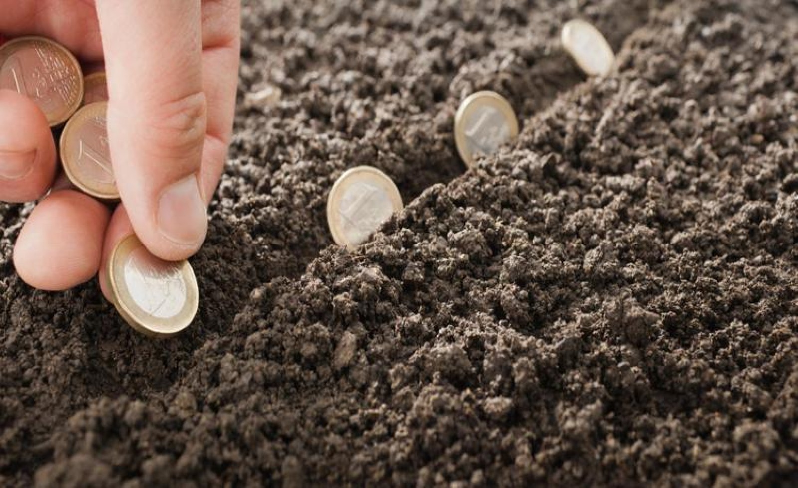 Trường hợp nào được cấp Giấy chứng nhận và miễn tiền sử dụng đất?