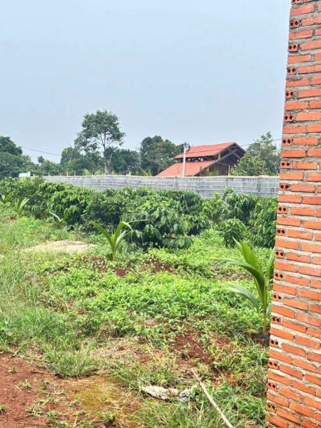 1 Sào mặt tiền đường nhựa Y Moal