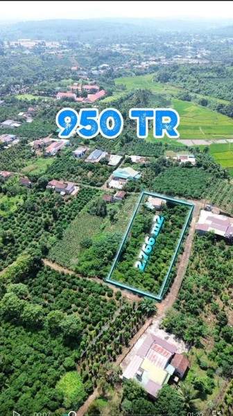 2.766 m2 có sẵn 400m2 Thổ Cư, có nguồn thu cà phê