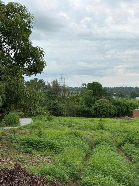 385 TRIỆU – SỞ HỮU NGAY LÔ ĐẤT 10x53M TẠI THÀNH NHẤT