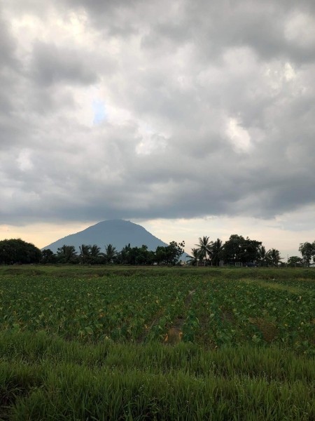 Bán 4.000m2 đất gần cầu K13, phường Ninh Thạnh, view Núi Bà Đen, giá 2.2tỷ