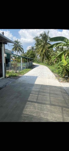 Bán 6500m đất vườn + ont cầu trắng