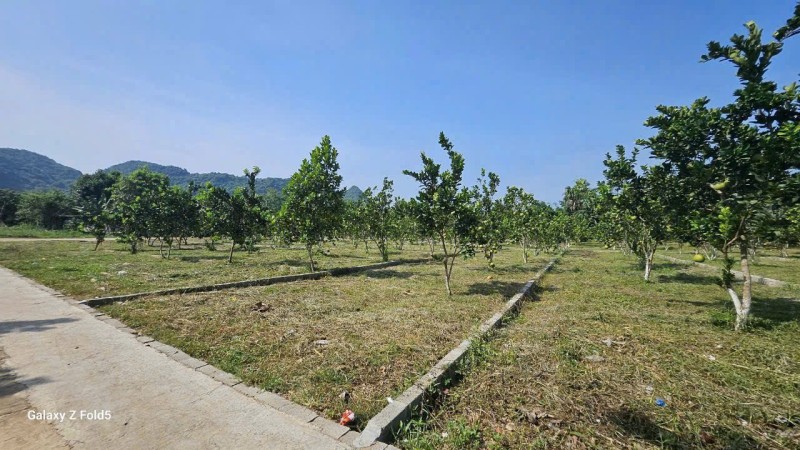 Bán Đất 177m2 có sẵn 50 m2 thổ cư giá 235 triệu tại Xã Bảo Hiệu Huyện Yên Thủy Hòa Bình