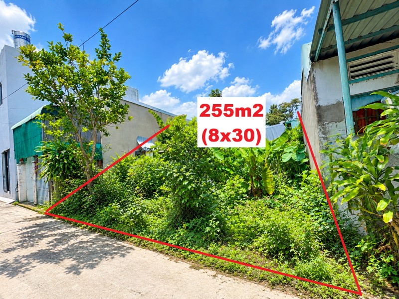 bán Đất 255m2 có sẵn 215 m2 thổ cư giá 3.1 tỷ tại Phường Mỹ Thới Thành phố Long Xuyên An Giang