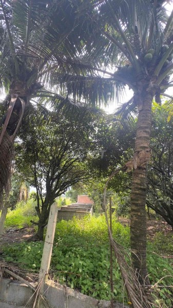 bán đất chính chủ khánh hòa