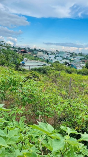 🏡 BÁN ĐẤT HẺM 02 HOÀNG SA – GIÁ CHỈ 630 TRIỆU