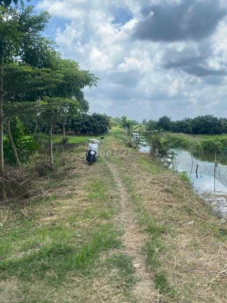 Bán Đất Ruộng đã lên vường vĩnh thới đồng tháp