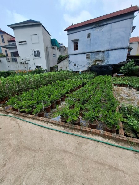 Bán đất Tân Tiến , Văn Giang , Hưng Yên - oto vào đất