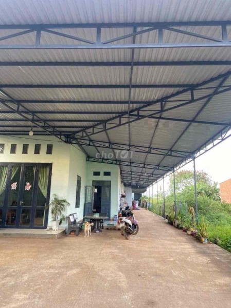 BÁN GẤP GIÁ RẺ,CÓ THÊM 1000m2 ĐẤT RUỘNG FULL giấy tờ.