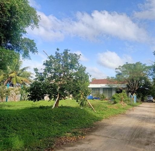Bán gấp Mặt đường Quản Lộ Phụng Hiệp, Tân Thành, Cà Mau, 8898m, ngang 69m, chỉ 29 tỷ.