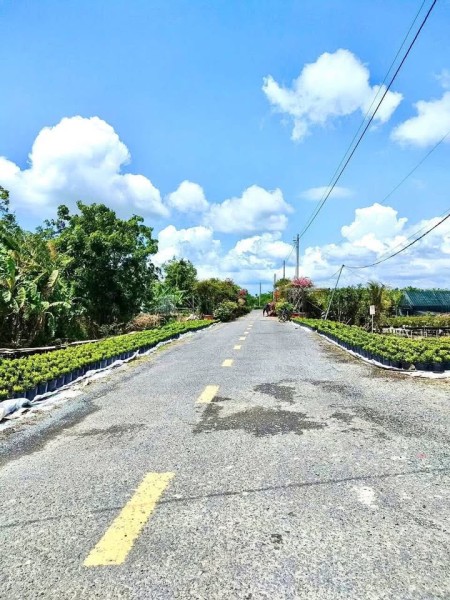 - CẦN BÁN ĐẤT TẠI PHƯỜNG SA ĐÉC – ĐỒNG THÁP