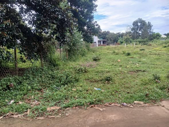 Cần bán lô đất Biển Hồ hẻm Tôn Đức Thắng gần chợ, trường, trung tâm hành chính