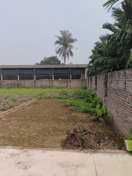 CHỈ 1 LÔ DUY NHẤT TẠI TÂN DÂN – 82M² VUÔNG ĐẸP – Ô TÔ GẦN ĐẤT! 🔥 NGÕ NÔNG – Ô TÔ TRÁNH GẦN ĐẤT – MẶT TIỀN 4,8M – ĐẦU TƯ HOẶC XÂY NHÀ ĐỀU ĐẸP